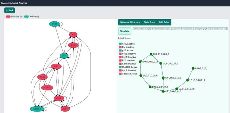 A Simulation Tools for Constructing and Analysing Boolean Networks